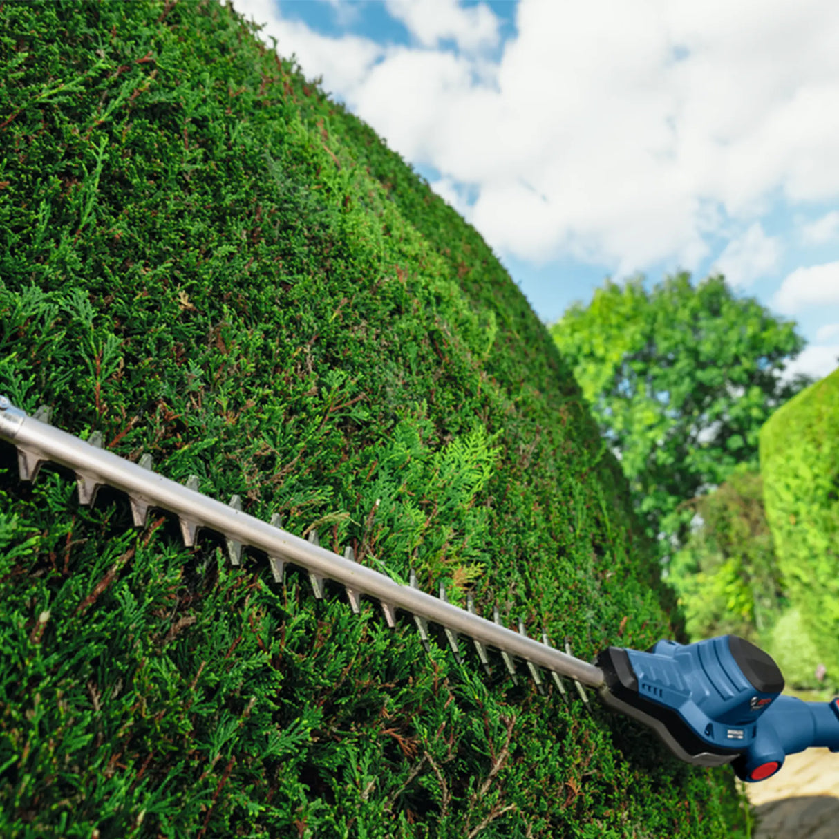 Tagliasiepi Telescopico Bosch GHE 18V-50 TP