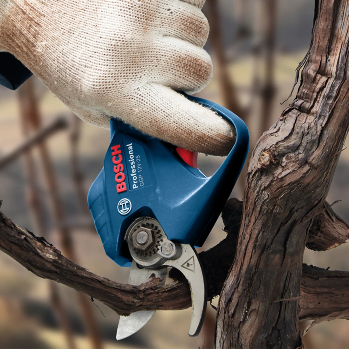 Potatore Bosch GGP 12V-25 3Ah