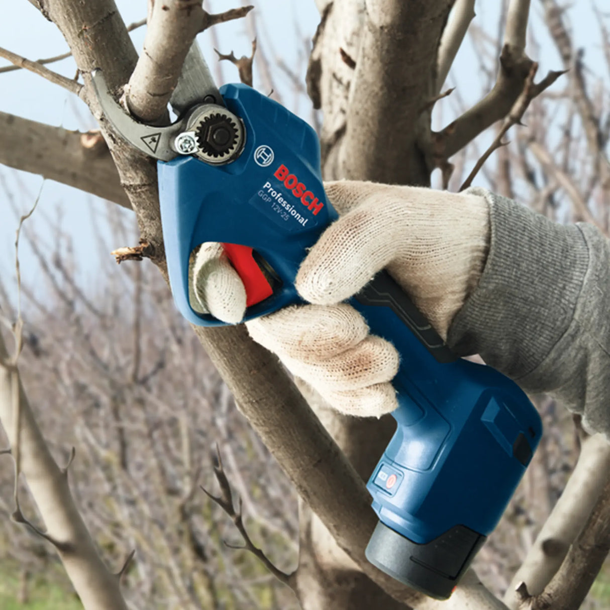 Potatore Bosch GGP 12V-25 3Ah