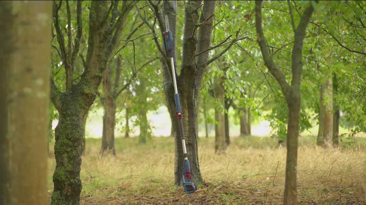 Sécateur télescopique Bosch GKE 18V-25 TP