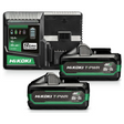 UC36YSL2WAZ - Chargeur rapide de batterie HiKOKI UC36YSL2WAZ 14,4 V - 36 V
